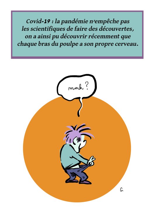  GOMA - Mon projet Coronapage 204