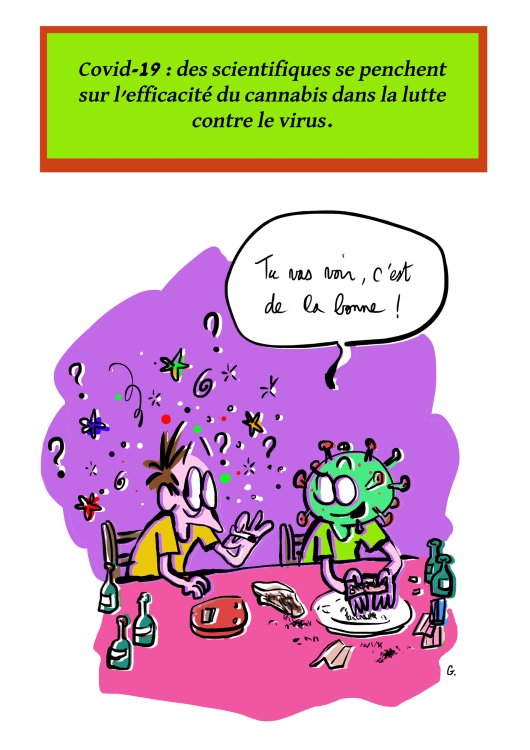  GOMA - Mon projet Coronapage 133