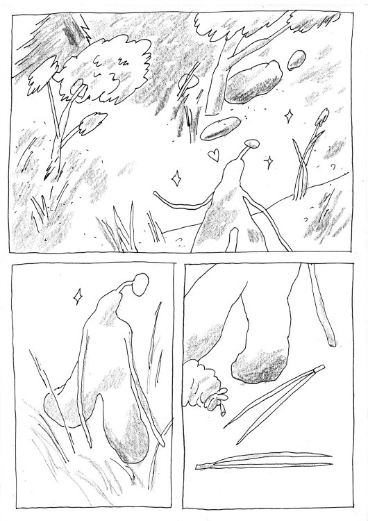 Nieminen Essi - Once upon a magical nightpage 11