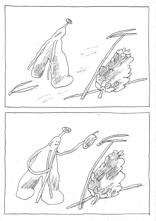 Nieminen Essi - Once upon a magical nightpage 13