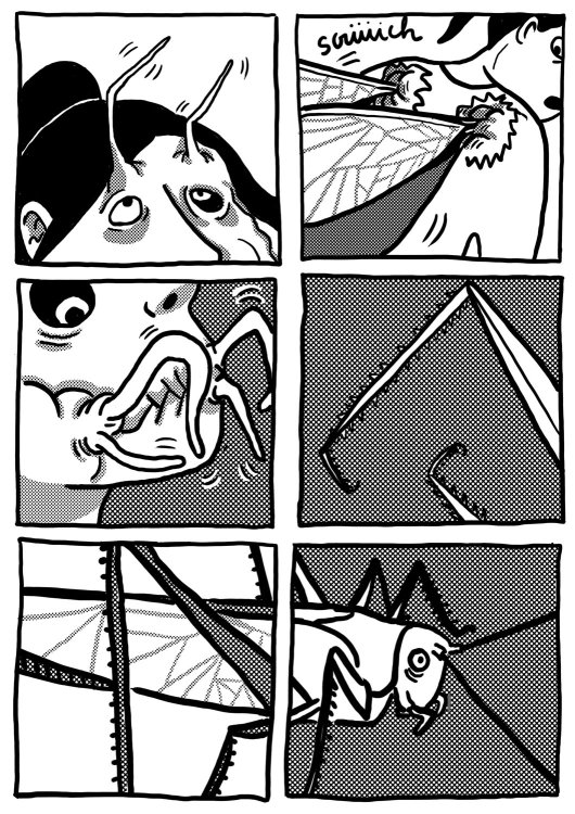 Margaux Chetteau  - L'animaleriepage 29