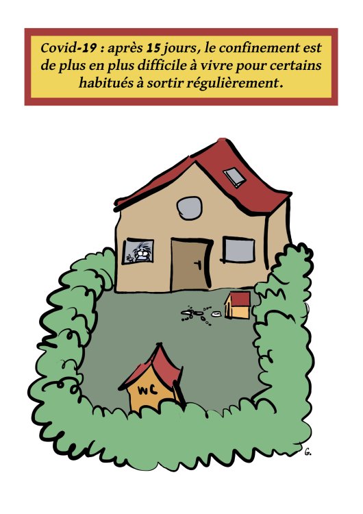  GOMA - Mon projet Coronapage 35