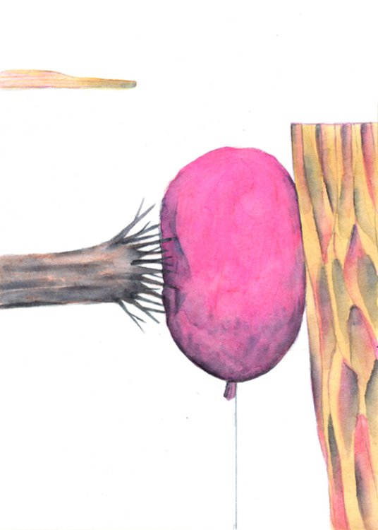 Martin Singer - Exercices d'équilibrepage 7