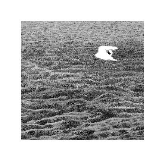  oimizi -  Île (titre provisoire)page 1