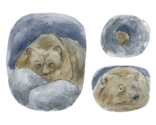 Stéphanie Paulus - Böögg ou la fin d'Hiverpage 10