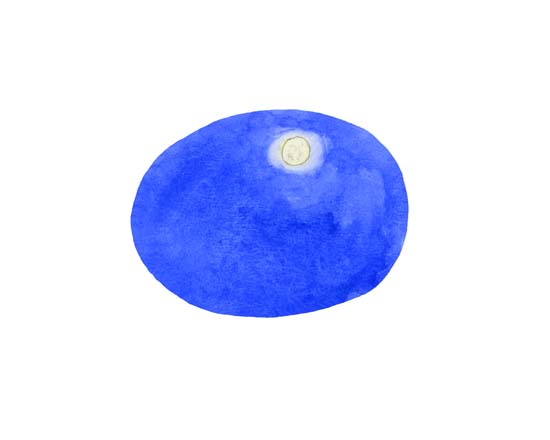 Stéphanie Paulus - Böögg ou la fin d'Hiverpage 30