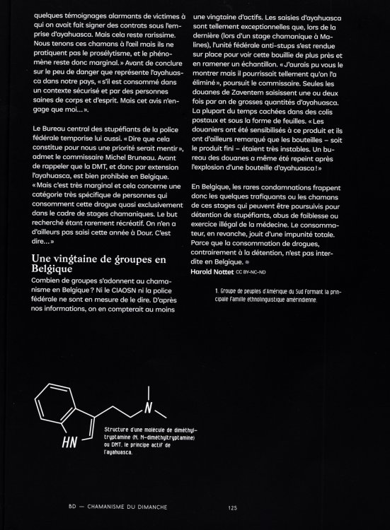 Louis Theillier - Chamanisme du dimanchepage 13