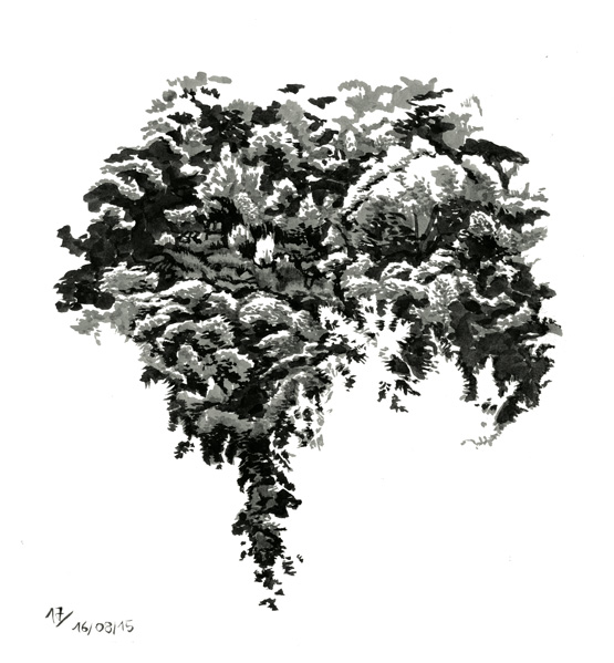 Paul B - De la topographie cévenolepage 17