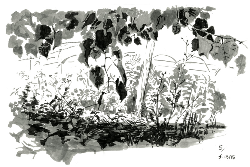 Paul B - De la topographie cévenolepage 5