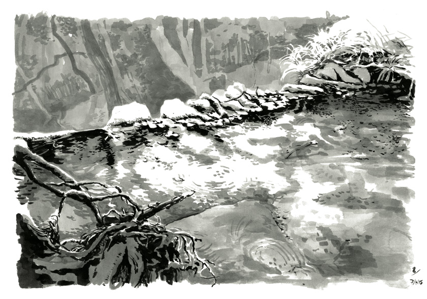 Paul B - De la topographie cévenolepage 8