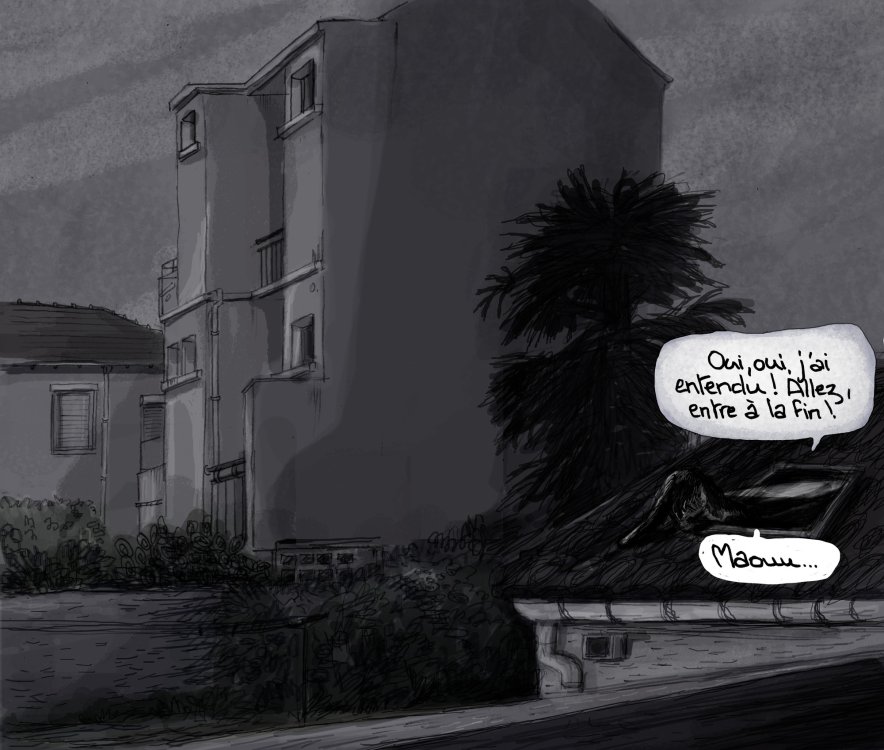  GWN - Confinement au balcon.page 11