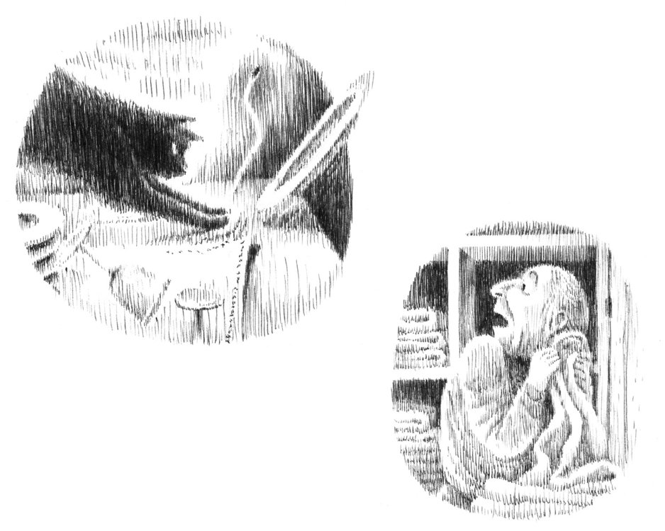 Paul B - Où sont les enfants ?page 26